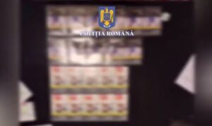 Șofer | MyTex.ro