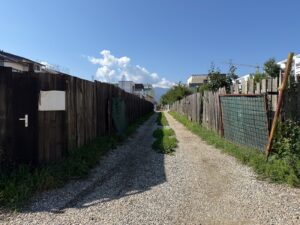 Dezvoltatorii din Tractorul | MyTex.ro