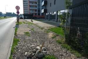 Dezvoltatorii din Tractorul | MyTex.ro