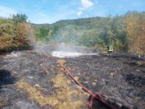 Incendiu | MyTex.ro