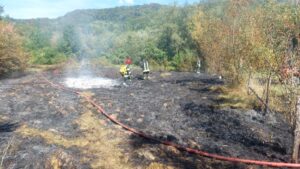 Incendiu | MyTex.ro