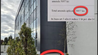 Zboruri de pe Aeroportul Braşov | MyTex.ro