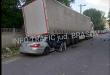 Salvamontiști | MyTex.ro