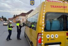 Zonă de promenadă pe Strada Castanilor | MyTex.ro