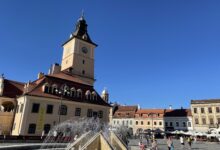 Din dragoste pentru Maya Plisetkaya | MyTex.ro