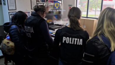 Ziua Internațională a Panda Roșu | MyTex.ro
