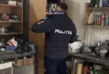 Tânăr | MyTex.ro