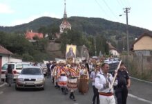 Ateliere și spectacole pentru copii | MyTex.ro