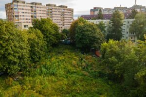 în această zonă | MyTex.ro
