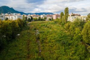 în această zonă | MyTex.ro