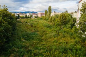 în această zonă | MyTex.ro