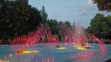 Ce face Primăria pe 22 de hectare în Stupini | MyTex.ro