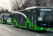 Nereguli | MyTex.ro