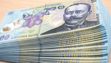 Cine câștigă cel mai mult din cumulul pensie-salariu în aparatul de stat | MyTex.ro