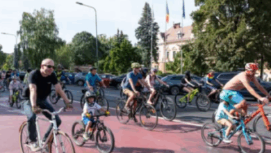 Tribunalul Brașov | MyTex.ro