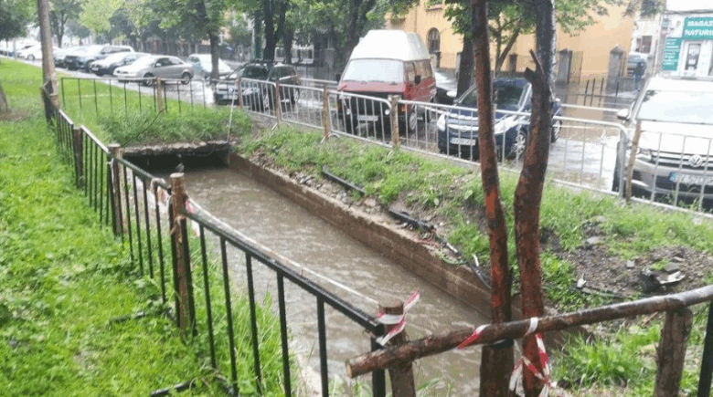Zonă de promenadă pe Strada Castanilor | MyTex.ro