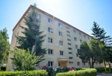 brașoveanul | MyTex.ro