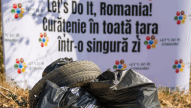Ce trebuie să știți dacă vreți să luați parte la Ziua de Curățenie Națională | MyTex.ro