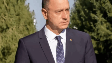 George Scripcaru | MyTex.ro