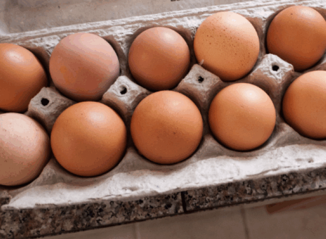 Alertă alimentară | MyTex.ro