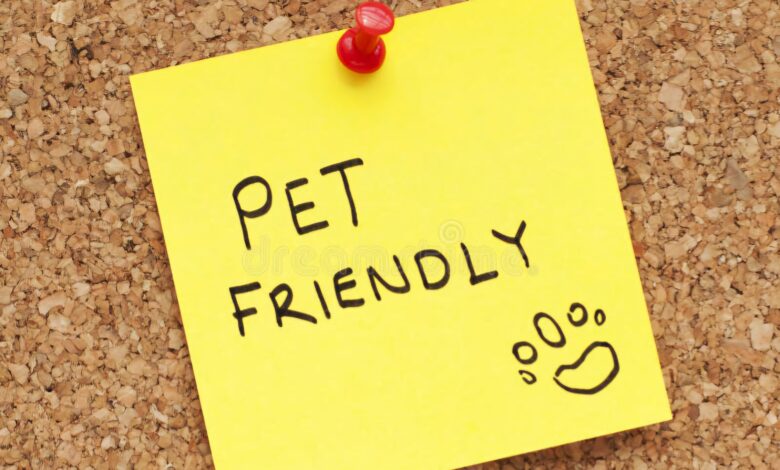 Pet friendly! Cluj-Napoca permite accesul cu animale de companie în instituțiile publice / Reguli de bunsimț 3 pet friendly | MyTex.ro
