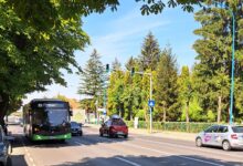 Primăria Săcele | MyTex.ro
