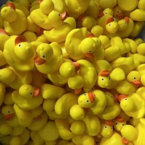 Cursă de rățuște | MyTex.ro