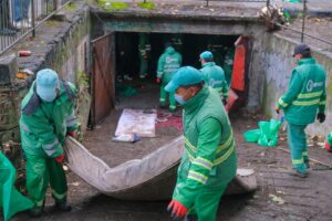 Cuiburi de boschetari din zona Gării | MyTex.ro