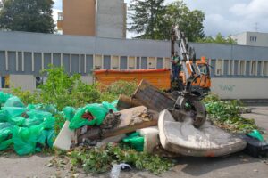 Cuiburi de boschetari din zona Gării | MyTex.ro