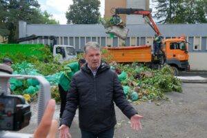 Cuiburi de boschetari din zona Gării | MyTex.ro