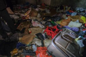 Cuiburi de boschetari din zona Gării | MyTex.ro