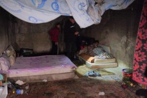 Cuiburi de boschetari din zona Gării | MyTex.ro
