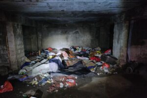 Cuiburi de boschetari din zona Gării | MyTex.ro