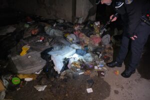 Cuiburi de boschetari din zona Gării | MyTex.ro