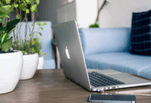 Patronul Fly Lili | MyTex.ro