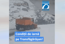 Surpriză | MyTex.ro