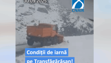 Surpriză | MyTex.ro