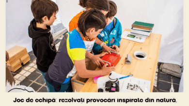 Roboți | MyTex.ro