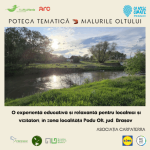 Roboți | MyTex.ro