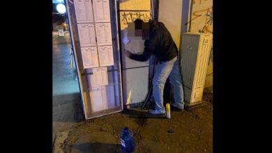 Ziua Internațională a Mediului Marin | MyTex.ro