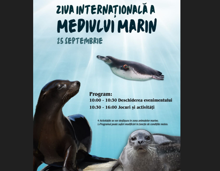 Ziua Internațională a Mediului Marin | MyTex.ro