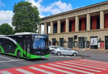 Urșii și lupii au făcut prăpăd în județul Brașov | MyTex.ro