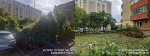 Proprietari | MyTex.ro