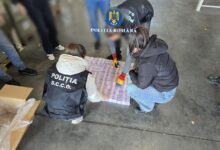 Șofer | MyTex.ro