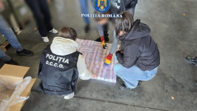 Inculpați | MyTex.ro