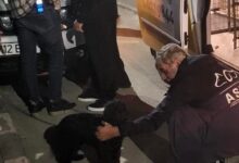 O profesoară a dispărut cu banii daţi de elevi pentru o excursie la Braşov | MyTex.ro