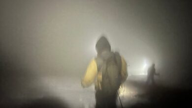 accident | MyTex.ro