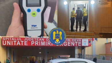 Șofer depistat cu 2,38 mg/l alcool pur în aerul expirat, pe autostrada A1! 7 Polițiștii | MyTex.ro