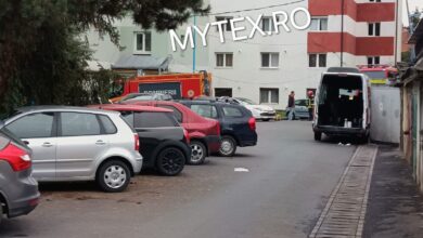 beată criță | MyTex.ro