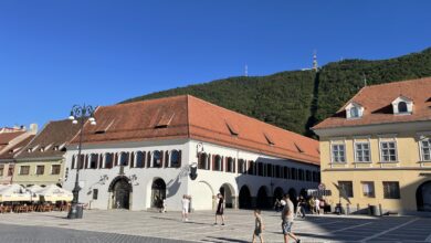 Festivalul CULMEA aduce la Brașov filme premiate și ateliere inedite pentru publicul tânăr | MyTex.ro
